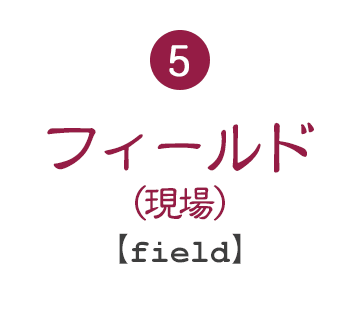 5.フィールド(現場)